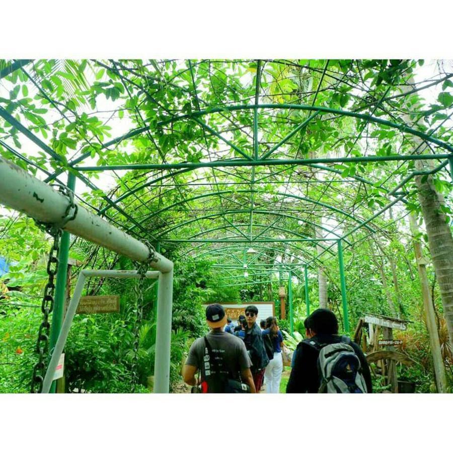 Ruennamyen Resort Amphawa Samut Songkhram Ngoại thất bức ảnh